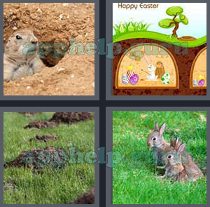 4 Pics 1 Word: Level 1001 to 1100: 6 Letters Picture 1100 Answer
