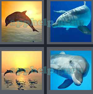 4 Pics 1 Word: Level 1301 to 1400: 7 Letters Picture 1365 Answer