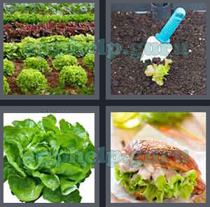 4 Pics 1 Word: Level 1501 to 1600: 7 Letters Picture 1544 Answer