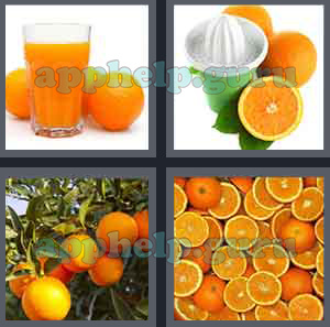 4 Pics 1 Word: Level 1501 to 1600: 7 Letters Picture 1550 Answer