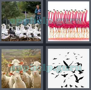 4 Pics 1 Word: Level 1501 to 1600: 5 Letters Picture 1571 Answer
