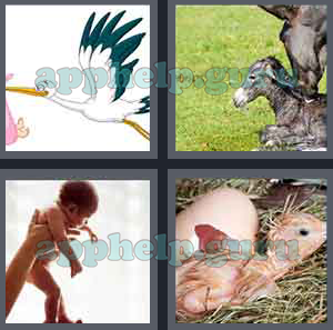 4 Pics 1 Word: Level 1501 to 1600: 5 Letters Picture 1574 Answer