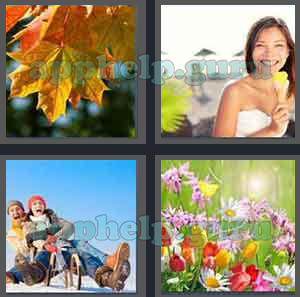 4 Pics 1 Word: Level 2601 to 2700: 7 Letters Picture 2604 Answer
