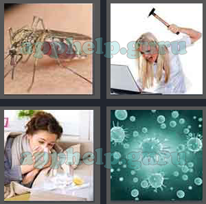 4 Pics 1 Word: Level 2901 to 3000: 5 Letters Picture 2929 Answer