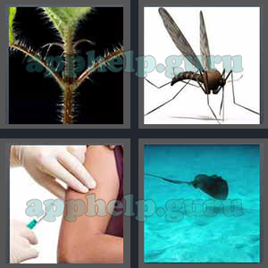 4 Pics 1 Word: Level 3101 to 3200: 5 Letters Picture 3110 Answer
