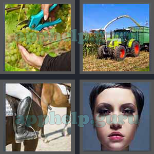 4 Pics 1 Word: Level 3201 to 3300: 4 Letters Picture 3264 Answer