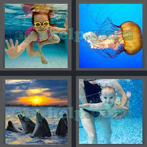 4 Pics 1 Word: Level 3201 to 3300: 4 Letters Picture 3291 Answer