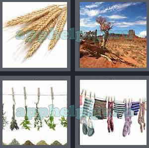 4 Pics 1 Word: Level 1 to 100: 3 Letters Picture 61 Answer