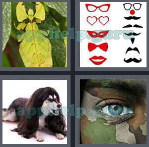 4 Pics 1 Word: Level 701 to 800: 8 Letters Picture 777 Answer