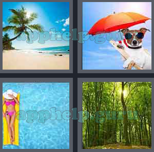 4 Pics 1 Word: Level 1 to 100: 6 Letters Picture 82 Answer
