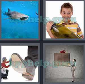 4 Pics 1 Word: Level 1 to 100: 3 Letters Picture 98 Answer