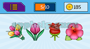 EmojiNation: Emojis 4 Flowers Answer