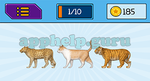 EmojiNation: Emojis Leopard, Cat, Tiger Answer