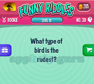 Funny Riddles: No 39 What type of bird is the rudest Answer