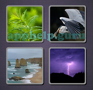 Guess Word (Hapoga): Album 4 Group 41 to 60 Group 52 Answer