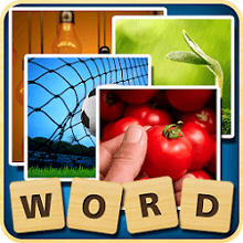 Guess Word (365): Walkthroughs, Answers, Cheats, Codes, Achievements