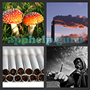 Photo Quiz (Taps Arena): Pack 4 Level 25 Answer