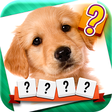 Word and Picture Quiz (387): Walkthroughs, Answers, Cheats, Codes, Achievements