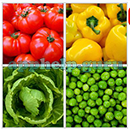 Guess the Word (BrainVM Games): Level 3 Puzzle 61 Answer