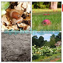 Guess the Word (BrainVM Games): Level 3 Puzzle 64 Answer