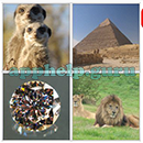 Guess the Word (BrainVM Games): Level 3 Puzzle 74 Answer