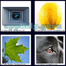 4 Pics 1 Word (GMonks): Level 7 Pic 19 Answer