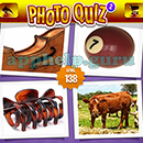 Photo Quiz 2 (Apprope): Level 138 Answer