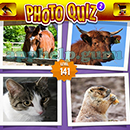 Photo Quiz 2 (Apprope): Level 141 Answer