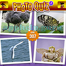 Photo Quiz 2 (Apprope): Level 307 Answer
