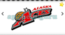 Logo Game (Logos Box): Bonus: Basketball Level 14 Answer