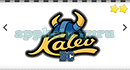 Logo Game (Logos Box): Bonus: Basketball Level 37 Answer