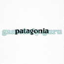 Logo Quiz (Emerging Games): Level 12 Logo 30 Answer