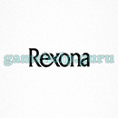 Logo Quiz (Emerging Games): Level 2 Logo 13 Answer