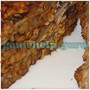 1000 Close Up Quiz: Food 7 Star 2 Answer