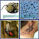 4 Pics 1 Word: More Pics: Level 10 Word 10 Answer