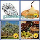 4 Pics 1 Word: More Pics: Level 8 Word 6 Answer