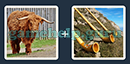 Just 2 Pics (Blue Boat): Level 109 Answer