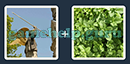 Just 2 Pics (Blue Boat): Level 128 Answer