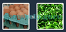 Just 2 Pics (Blue Boat): Level 166 Answer