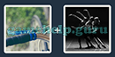 Just 2 Pics (Blue Boat): Level 205 Answer