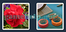 Just 2 Pics (Blue Boat): Level 209 Answer
