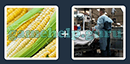 Just 2 Pics (Blue Boat): Level 229 Answer