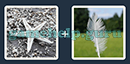 Just 2 Pics (Blue Boat): Level 234 Answer