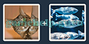 Just 2 Pics (Blue Boat): Level 255 Answer