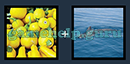 Just 2 Pics (Blue Boat): Level 307 Answer