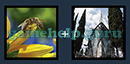 Just 2 Pics (Blue Boat): Level 309 Answer