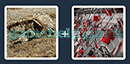 Just 2 Pics (Blue Boat): Level 353 Answer
