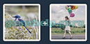 Just 2 Pics (Blue Boat): Level 41 Answer