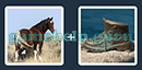 Just 2 Pics (Blue Boat): Level 6 Answer