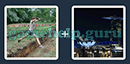Just 2 Pics (Blue Boat): Level 64 Answer
